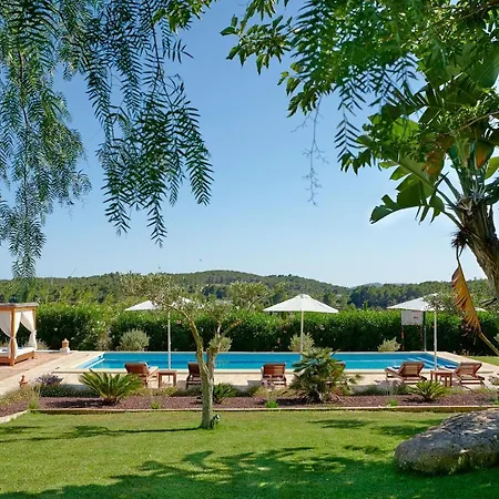 Mago Santa Gertrudis (Ibiza)
